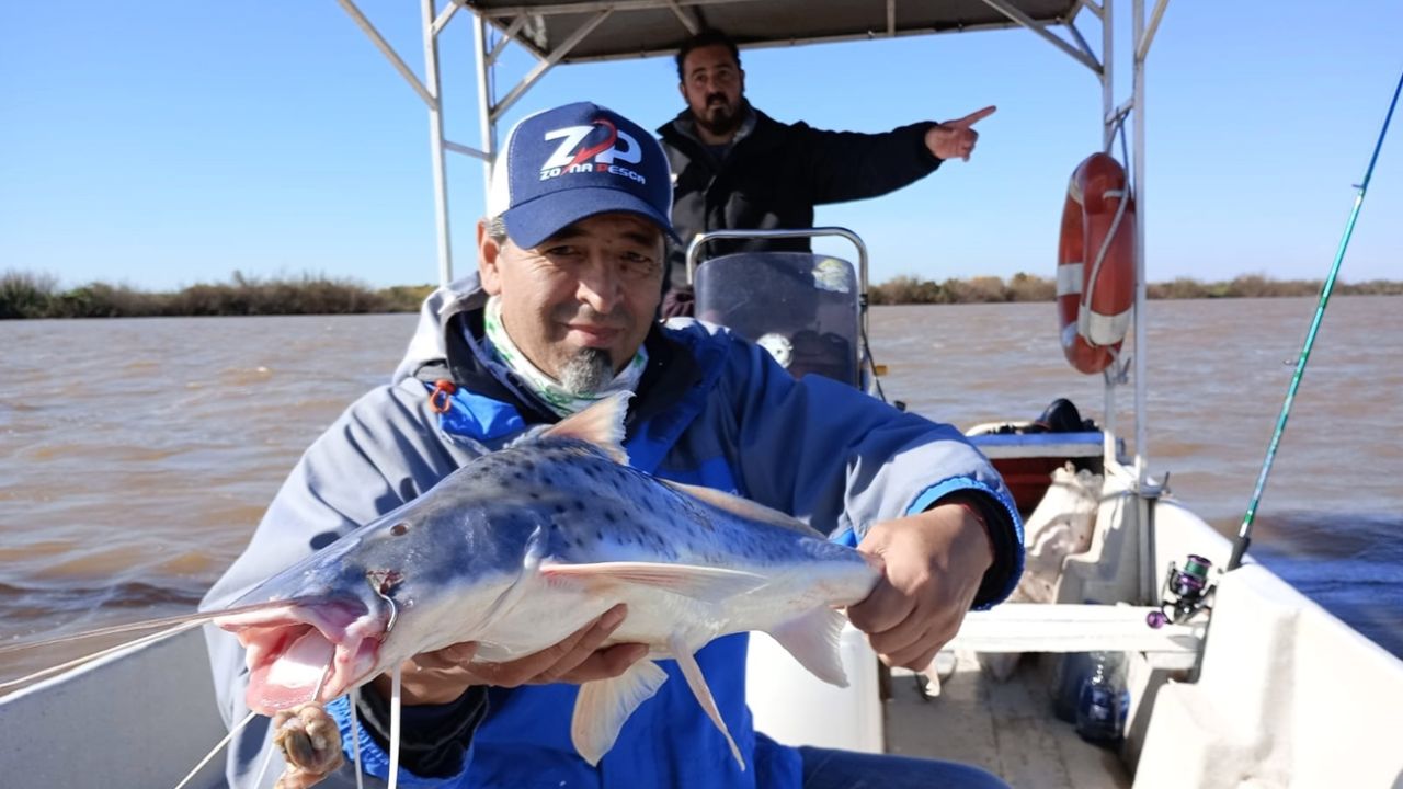 La variada de cuero: una opción a los pejerreyes en el Guazú