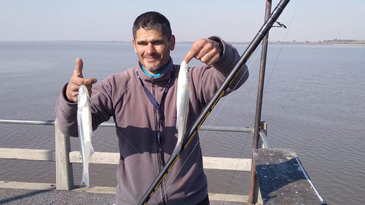 Complejo, pero no imposible el pejerrey en las costas platenses
