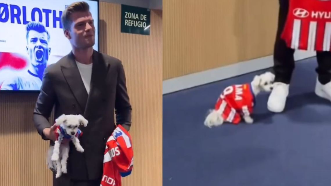 Compañero fiel: un jugador llevó a su perrito a su presentación en el Atlético de Madrid y es furor en las redes sociales
