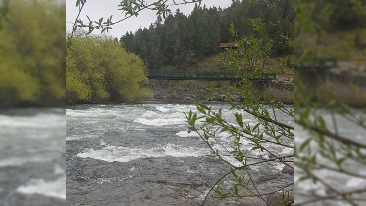 Chubut habilitó la temporada de pesca del salmón del pacífico