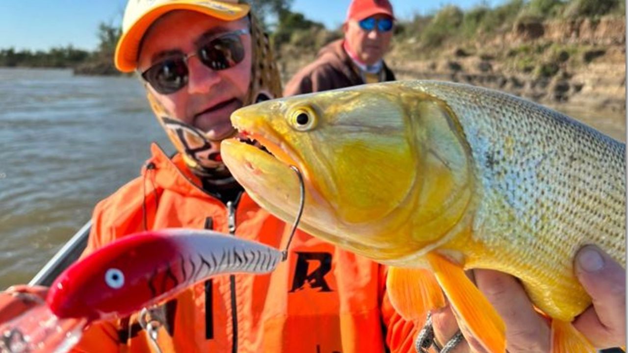 Excelente pesca de dorados y tarariras en Puerto Gaboto