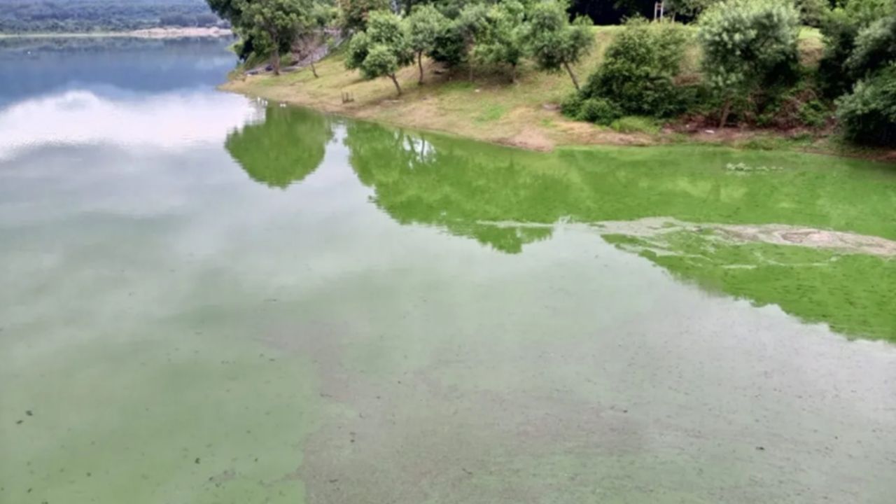Piden evitar la pesca en el dique Los Alisos por su agua verde