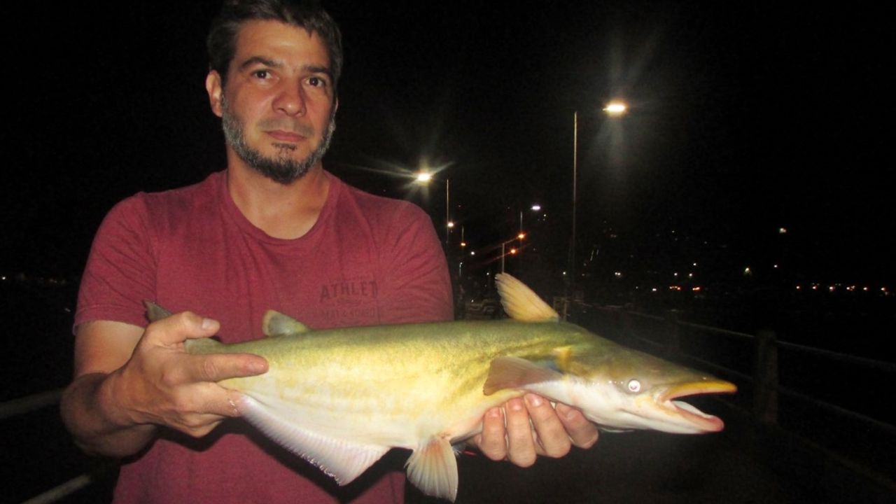 Probamos el pique en la costa norte del Río de la Plata