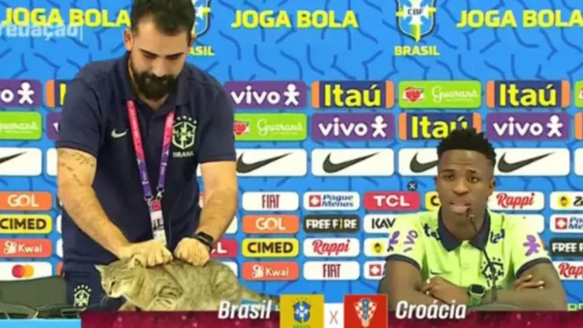 Cuál es la supuesta "maldición del gato" por la que Brasil atraviesa esta mala racha