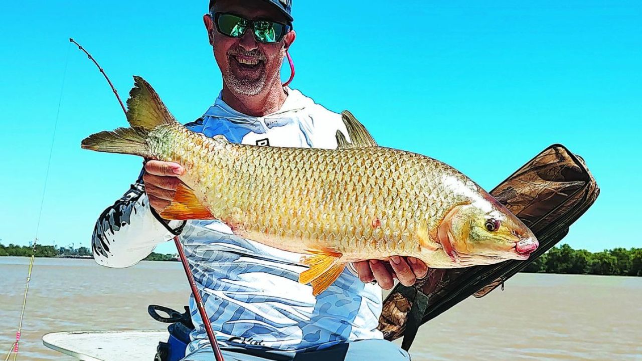 Paraná de las Palmas: bogas de aguas profundas