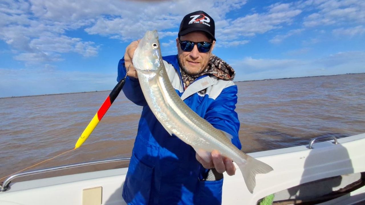 Las flechas del sur, opción para los cañófilos en el Río de la Plata