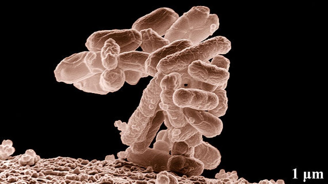 Brote de fiebre tifoidea en Ciudadela: seis personas internadas, dos de gravedad