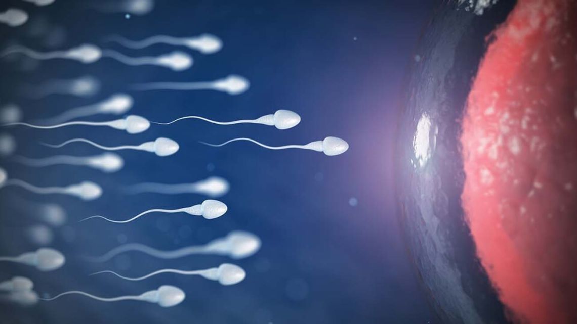 Los microplásticos afectan a la fertilidad femenina y un nuevo estudio lo confirma